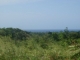 Lot to sale in lomas mironas
930m�, Ocean view
Price:80000us$ or make a offre
Email: sevendelomasmironas@gmail. Com