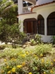 Nice 1-bed apartment, bath and great dining area with kitchen, TV,  beautiful garden and parking lot. Very clean, well-groomed and calm in La  Mulata I. Call (001)809-571-9942; cl_keller@web.de; www.urlaub-in-sosua.de 