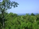 Beautiful Building Lots In The Hills of Sosua with an incredible price offer space to built true Caribbean dream homes.
You can still choose the size and the location.
Lots starting at 1,000m2 for $17/m2
from 6,000m2 and more $12/m2.
The ocean view lots can be purchased for $25/m2. Water cisterns are constructed already.
Contact me soon before they are all sold! andrea@readyfordr.com or 809-462-8140