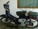 70 cc bike For sale: 600 USD (already invested:new shocks, new tires, new cilinder) bike is in great working condition has all its paperwork, insurance, and number plate. cel. 829-754-5163 / sergio_scacchi@hotmail.com