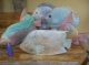 six assorted wooden pastel fish for sale
1500 rd for all
realtive size see lighter on add
829-917-0610