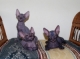 Don Sphynx Kittens for sale! We have 3 beautiful hairless kittens who are looking for new homes, 2 blacks and 1 blue color. They have been born 28 june. Don Sphinxes are very smart, loving cats, kinda of cat+dog+monkey mix :) with big ears, alien eyes and velvet skin. All 3 kittens are absolutely hairless. Don sphinxes are different from Canadian sphinxes, they differ in build and in character, Dons are more calm and obedient, love their owners and children. Kittens are potty trained and eat meat already. You can pick up your kitten in Cabarete or we can talk about delivery to any place on the island. Price is negotiable, not expensive, i just want them to be in good hands. PM me for details or if you have any questions. 809 858 36 96 dominicanfairy@gmail.com
