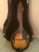 Nice Rogue Mandolin with Black case. Instrument is missing 1 of the 8 strings. String can be found at any instrument store or online! Mando comes with capo and strap. 8096972894/mae.lynn.amelingmeier@gmail.com