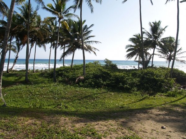 Beautiful and Affordable beachfront property in Las Canas. vacation rental in Las Canas