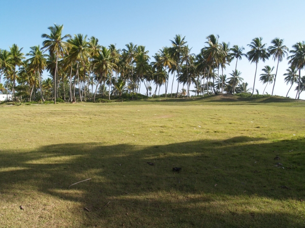 Beautiful and Affordable beachfront property in Las Canas. vacation rental in Las Canas