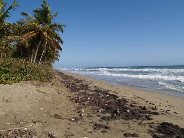 Beautiful and Affordable beachfront property in Las Canas. vacation rental in Las Canas