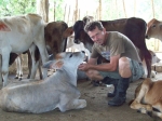 200 acre dairy and beef farm with owners accomodation vacation rental in Jamao al Norte