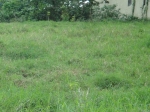 Good Sized Building Lot vacation rental in Sosua