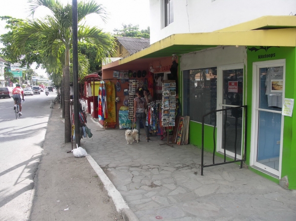 Top office in the center of Cabarete vacation rental in Cabarete