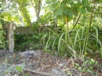 Corner Building Lot Cabarete vacation rental in Cabarete