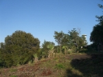 la219 Beautiful Building Lot In The Hills vacation rental in Sosua