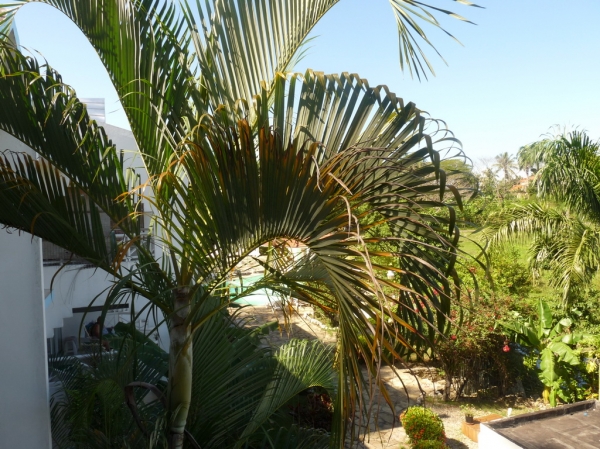 Nice apartment near to the beach in a gated community vacation rental in Sosua