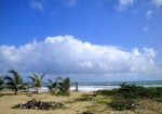 a306 Ocean View 1 Bedroom, 1.5 Bathroom vacation rental in Cabarete