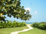 a317 3rd Floor 1 Bedroom Condo Close to Ocean vacation rental in Cabarete