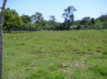 Very good located lot not far away from the mainstreet in a developed area vacation rental in Sabaneta
