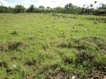 Building Lot Close To Town Center vacation rental in Sosua