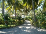 2 bedroom beach home vacation rental in Boca de Yasica