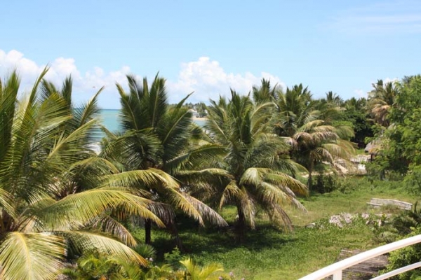 Large 3 bed penthouse apartment on the beach vacation rental in Cabarete