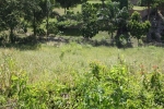 Good sized building plot at a great price vacation rental in Sosua
