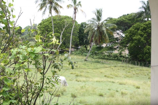 Large 2 bed apartment vacation rental in Sosua